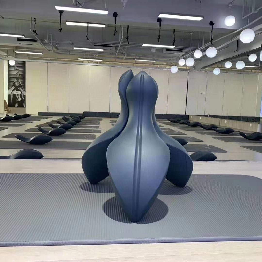 Corrector de Columna Vertebral - Pilates Yoga Joint reseña y precio